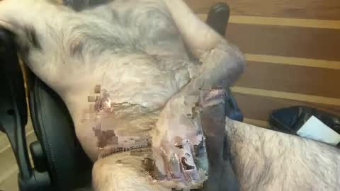 rotoball007 online show from 30, 1, 2025