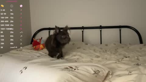 Snapshot of rottenlullaby chatting on 23, 10, 2025 - my telegram channel online show from 23, 10, 2025