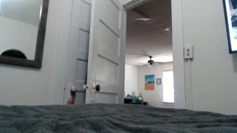 rowley2018 online show from 25, 12, 2024