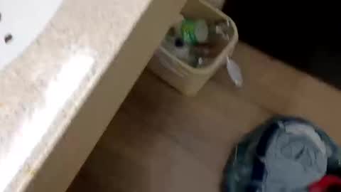 rozayfun online show from 21, 11, 2025