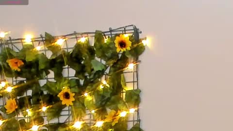 Rubby grace online show from 14, 2, 2025