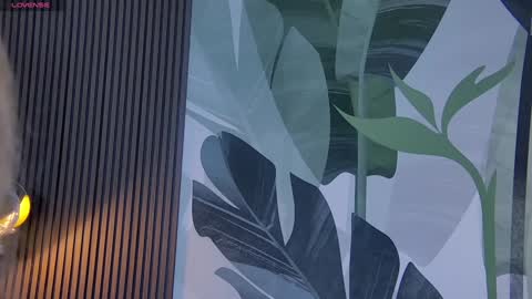 Snapshot of rubyvalen chatting on 28, 12, 2024 Ruby online show from 28, 12, 2024