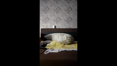 Snapshot of russianbear1917 chatting on 14, 1, 2026 Mike online show from 14, 1, 2026