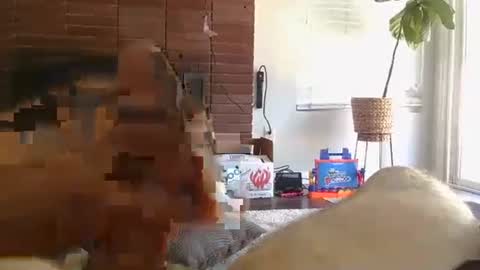 ryanbobby88 online show from 13, 9, 2025