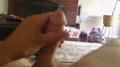 ryanbobby88 online show from 22, 9, 2025