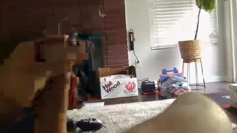 ryanbobby88 online show from 27, 9, 2025