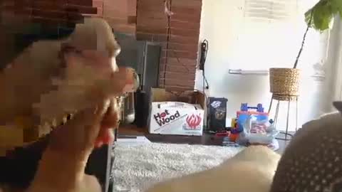 ryanbobby88 online show from 1, 10, 2025