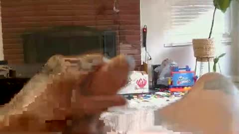 ryanbobby88 online show from 1, 11, 2025