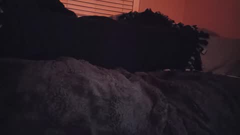 RFC666 online show from 6, 11, 2025