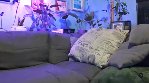 ryantate_88 online show from 23, 12, 2025