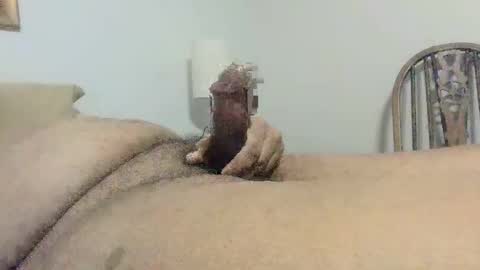 Snapshot of s901258 chatting on 8, 12, 2024 s901258 online show from 8, 12, 2024