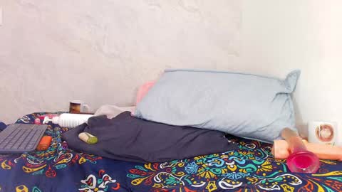 Snapshot of s_sofia_ chatting on 31, 12, 2024 s_sofia_ online show from 31, 12, 2024