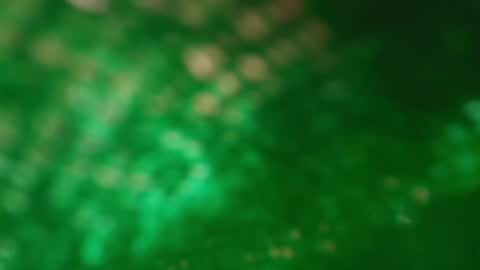 Snapshot of s_sofia_ chatting on 25, 1, 2025 s_sofia_ online show from 25, 1, 2025