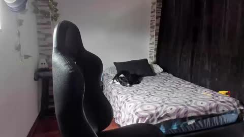 Snapshot of saad__man chatting on 2, 11, 2025 Danny online show from 2, 11, 2025