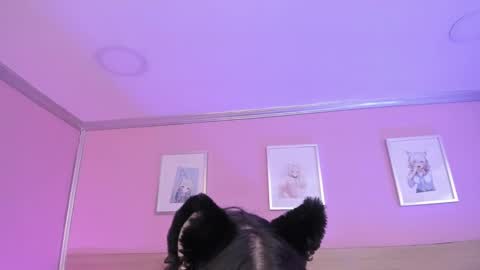 Ig  online show from 15, 2, 2025