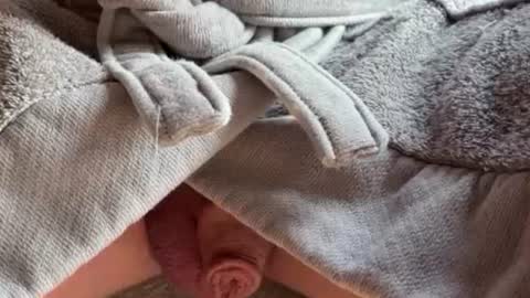 Snapshot of saconuts chatting on 13, 2, 2026 saconuts online show from 13, 2, 2026