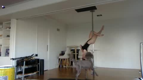 Snapshot of sadgirldies chatting on 20, 2, 2025 sadgirldies online show from 20, 2, 2025