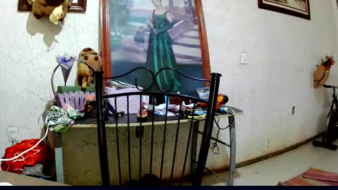 Snapshot of sailor_ruby7 chatting on 2, 10, 2025 ruby  chocoholic cakeholic coffeeholic cookieholic online show from 2, 10, 2025