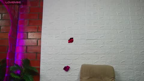 sainix_ online show from 6, 3, 2026