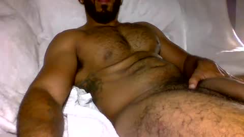 SD17 online show from 29, 12, 2024