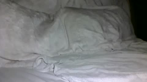 SD17 online show from 5, 2, 2025