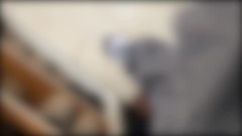 salgemma online show from 2, 3, 2026