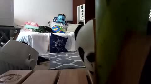 Snapshot of salis1981 chatting on 8, 2, 2025 salis1981 online show from 8, 2, 2025