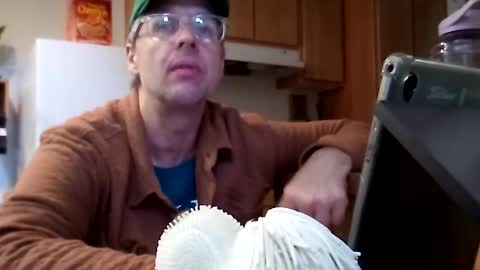 Snapshot of salis1981 chatting on 21, 11, 2025 salis1981 online show from 21, 11, 2025