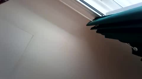 Snapshot of salis1981 chatting on 13, 12, 2025 salis1981 online show from 13, 12, 2025