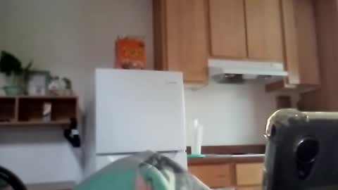 Snapshot of salis1981 chatting on 17, 12, 2025 salis1981 online show from 17, 12, 2025