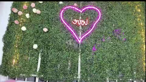 Snapshot of salome_domi chatting on 25, 1, 2025 salome online show from 25, 1, 2025