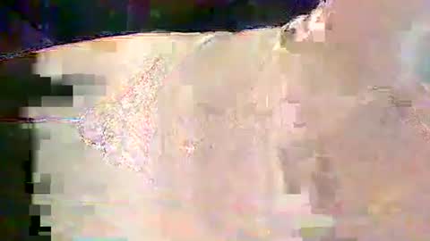 sam5554401727 online show from 25, 2, 2026