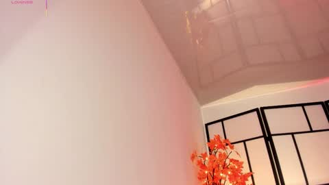 Sam online show from 13, 1, 2026