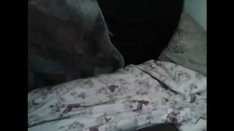 Samedisamedi1nouveau online show from 7, 3, 2026