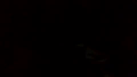 samjesss online show from 10, 3, 2025