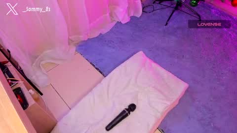 Snapshot of sammy__8 chatting on 17, 12, 2024 Sammy online show from 17, 12, 2024