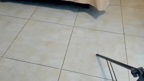 Axel online show from 2, 11, 2025