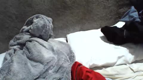 samuel987017 online show from 20, 12, 2024