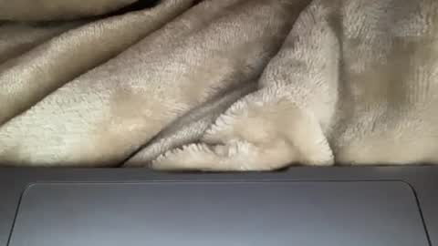 Snapshot of sandrasexy2000 chatting on 28, 11, 2025 sandrasexy2000 online show from 28, 11, 2025