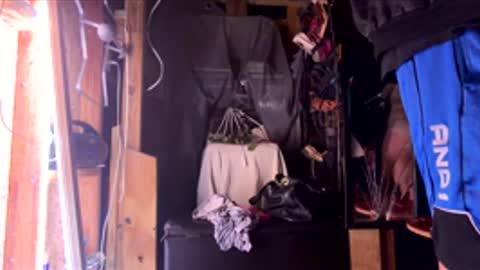 Sarrah Sweet online show from 28, 2, 2026