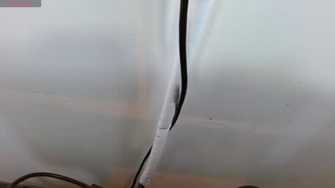 sasha_kinsley online show from 11, 2, 2026