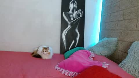 Sativa online show from 13, 12, 2024