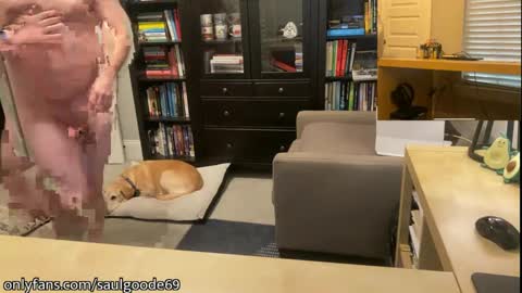 Saul Goode online show from 30, 1, 2025