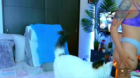   Dela  online show from 7, 1, 2026