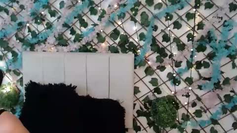 SCARLET online show from 17, 1, 2026