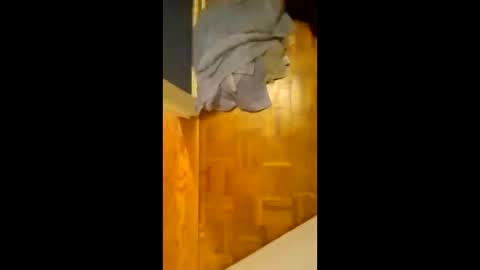 Snapshot of scruples99273286 chatting on 8, 11, 2025 scruples99273286 online show from 8, 11, 2025