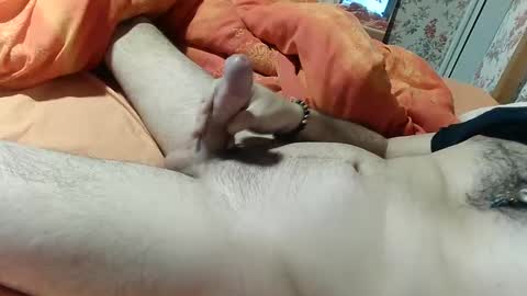 seb online show from 29, 12, 2024