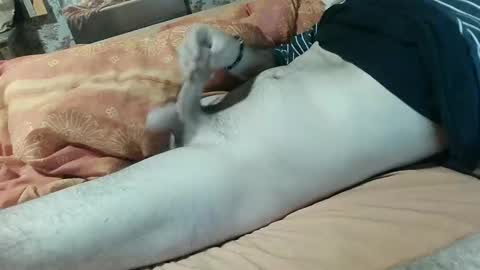 seb online show from 5, 2, 2025