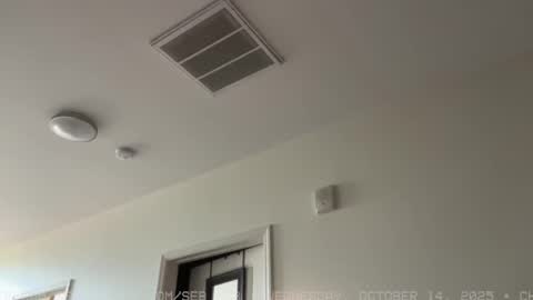 Sebastian online show from 15, 10, 2025