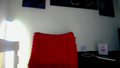 Sebastian online show from 11, 11, 2025